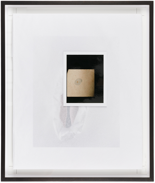http://www.barbaraproschak.com/files/gimgs/1_proschakumrandungfelmenon-printproschak20x30.png